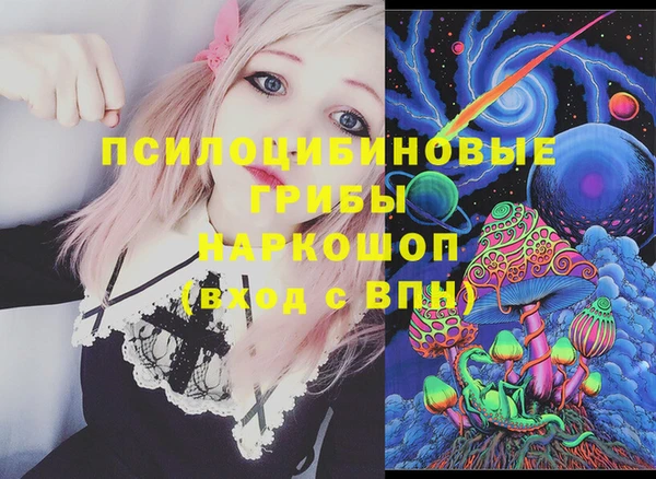 ECSTASY Магас