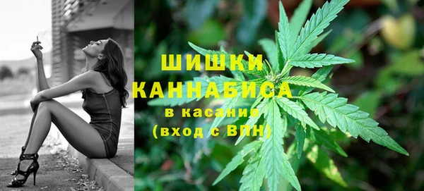 ECSTASY Магас