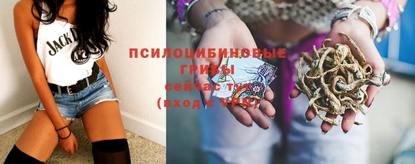прущая мука Анива