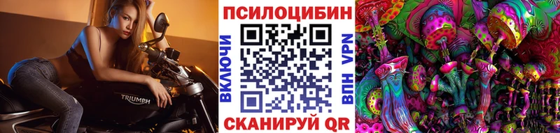 купить   Павловская  Галлюциногенные грибы Cubensis 